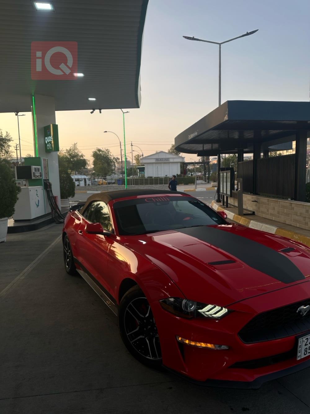فورد موستانج